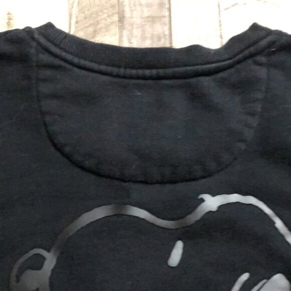 Vans x Peanuts Tonal Crewneck - Picture 5 of 11